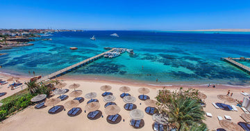 Best Time to Dive in Hurghada: Seasonal Guide for Beginners (2026)