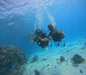 Introduction Dive Trip