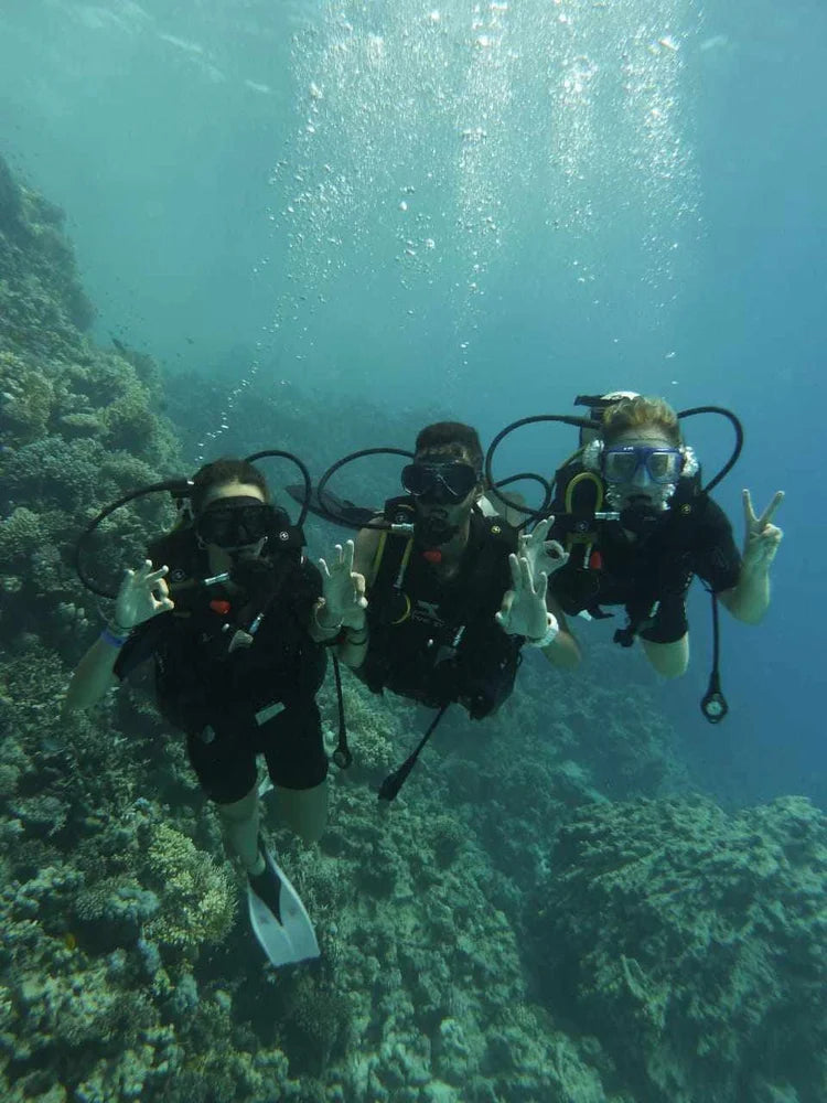 Introduction Dive Trip
