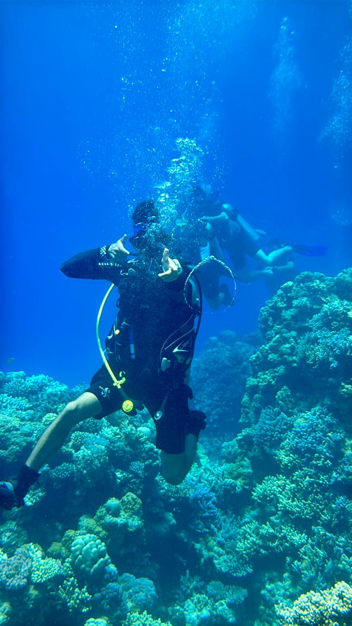 Professional Dive Trips